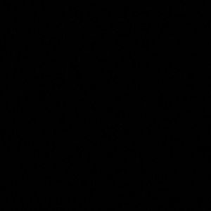 Meet your Posher, Ansley